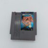 world wrestling nes
