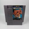 world wrestling nes